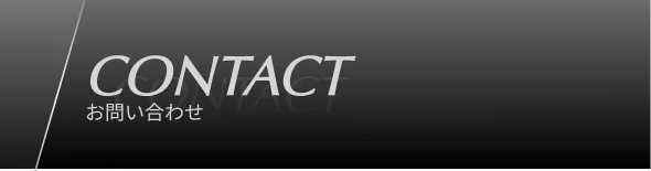 Car Simulation Mobile Visual